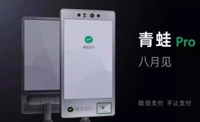 微信支付祭出“杀手锏” 双面屏“青蛙Pro版”发布，移动支付体验再升级